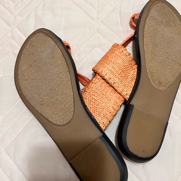 RAMPAGE - Picture 2 of 3